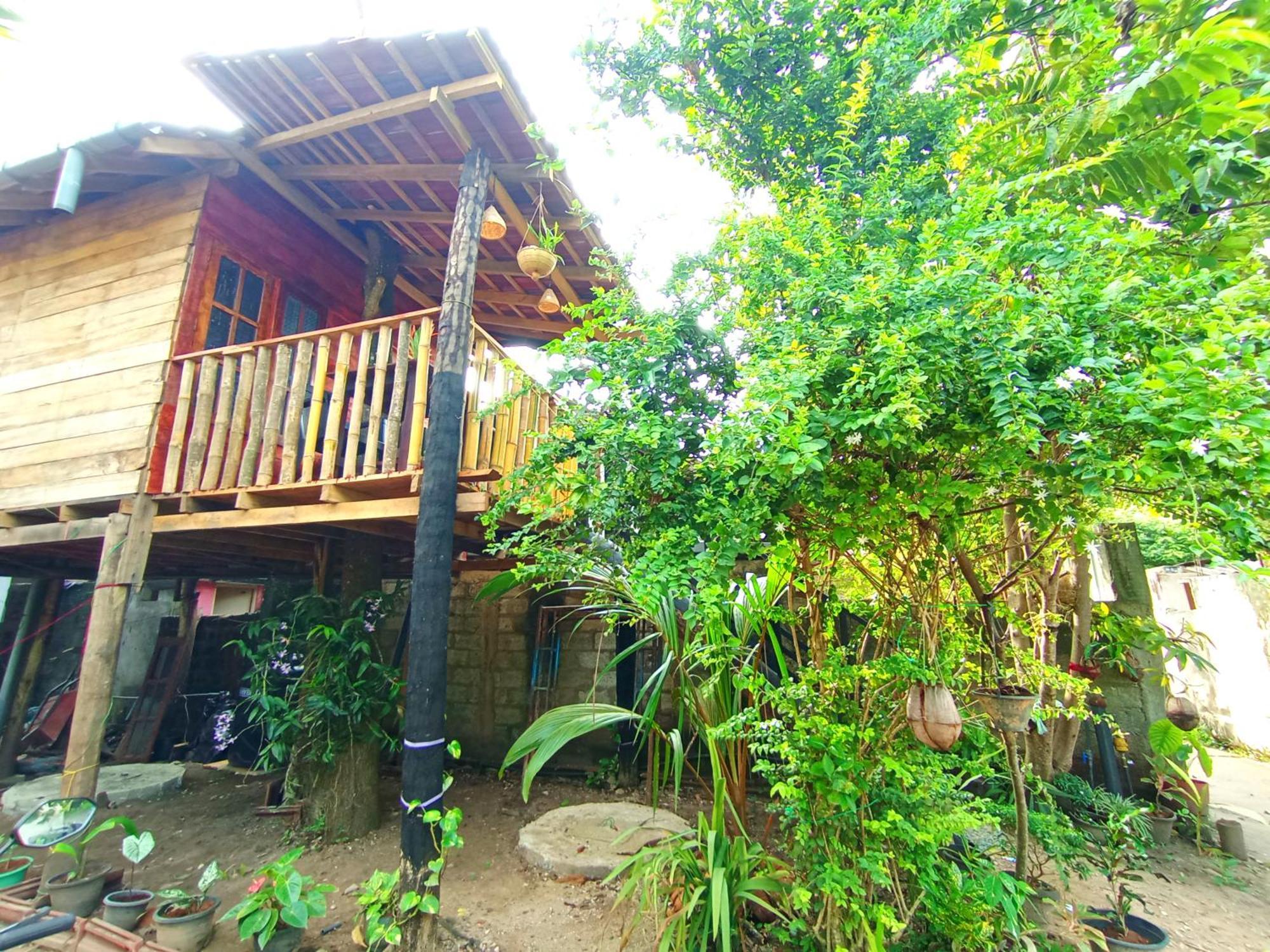 Parrot Tree House Villa Mirissa Exterior photo