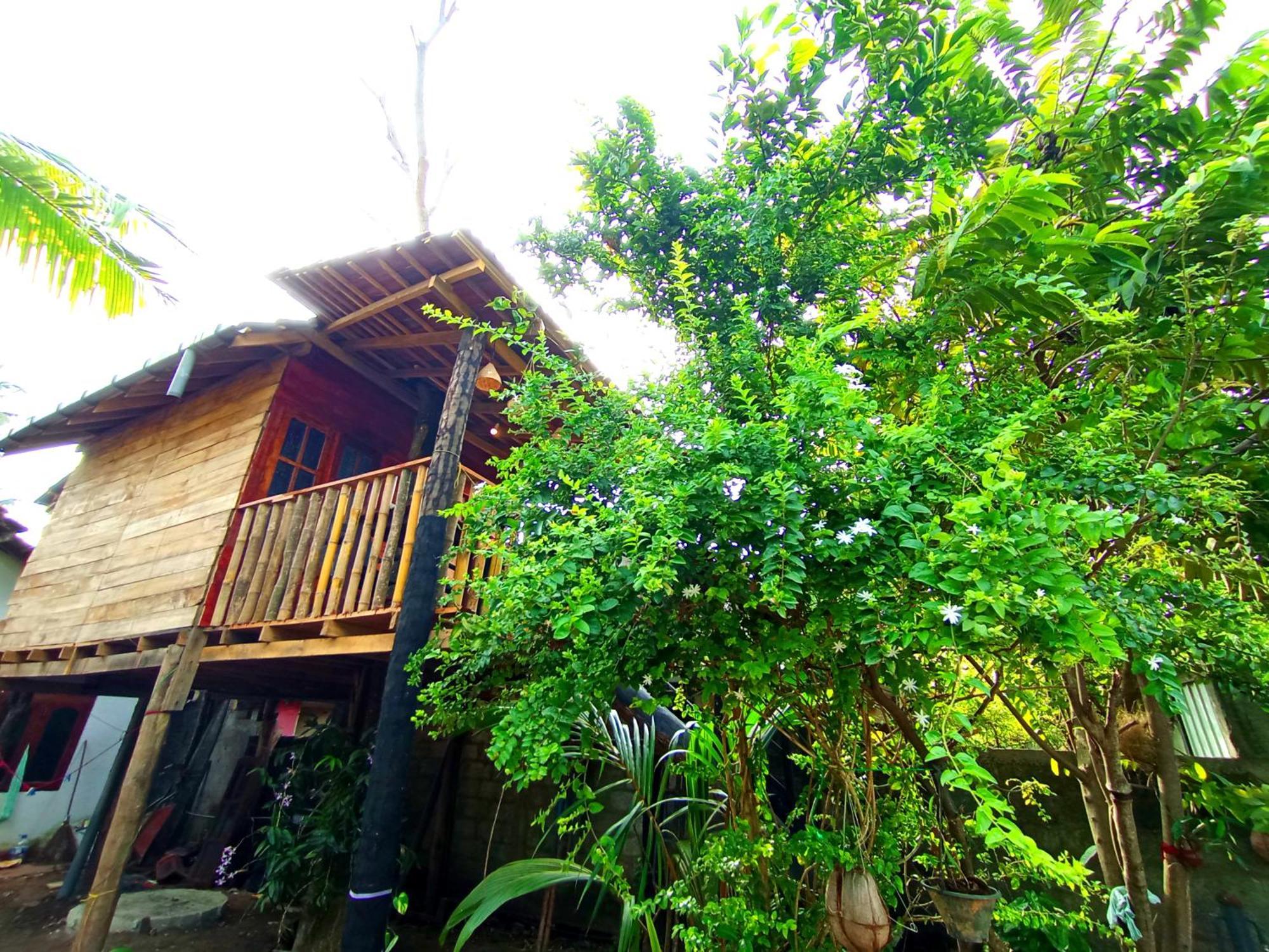 Parrot Tree House Villa Mirissa Exterior photo