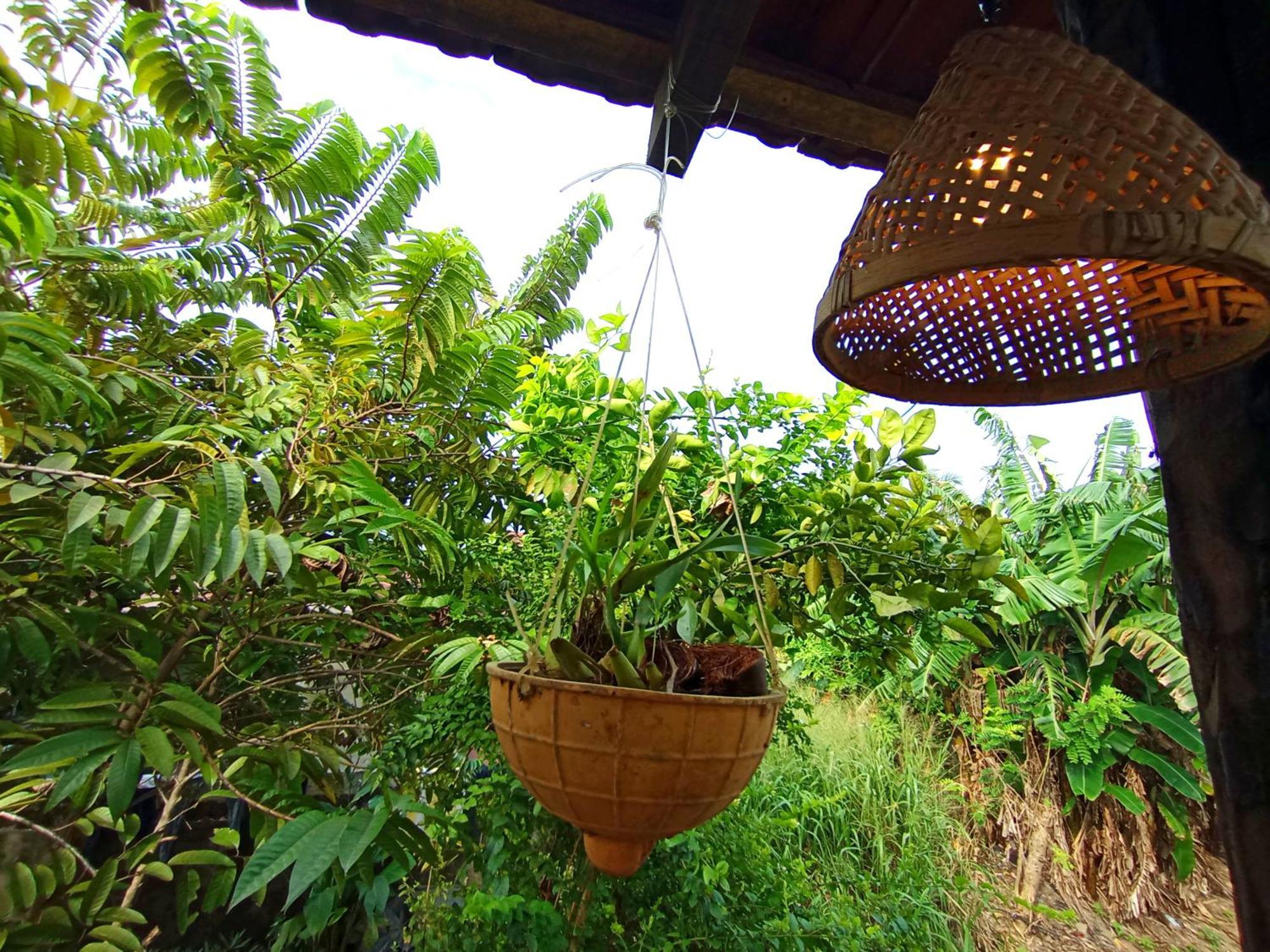 Parrot Tree House Villa Mirissa Exterior photo