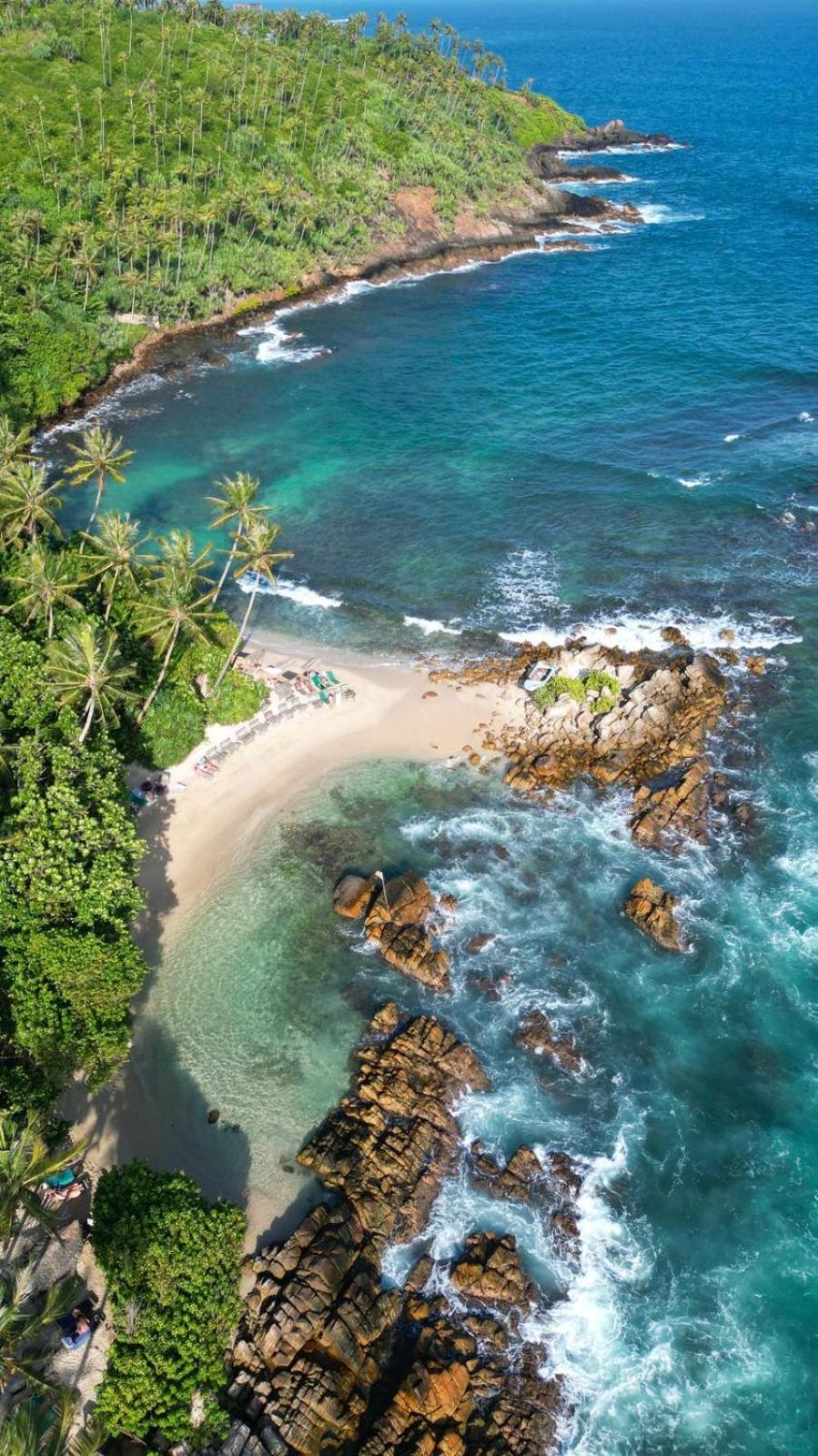 Parrot Tree House Villa Mirissa Exterior photo